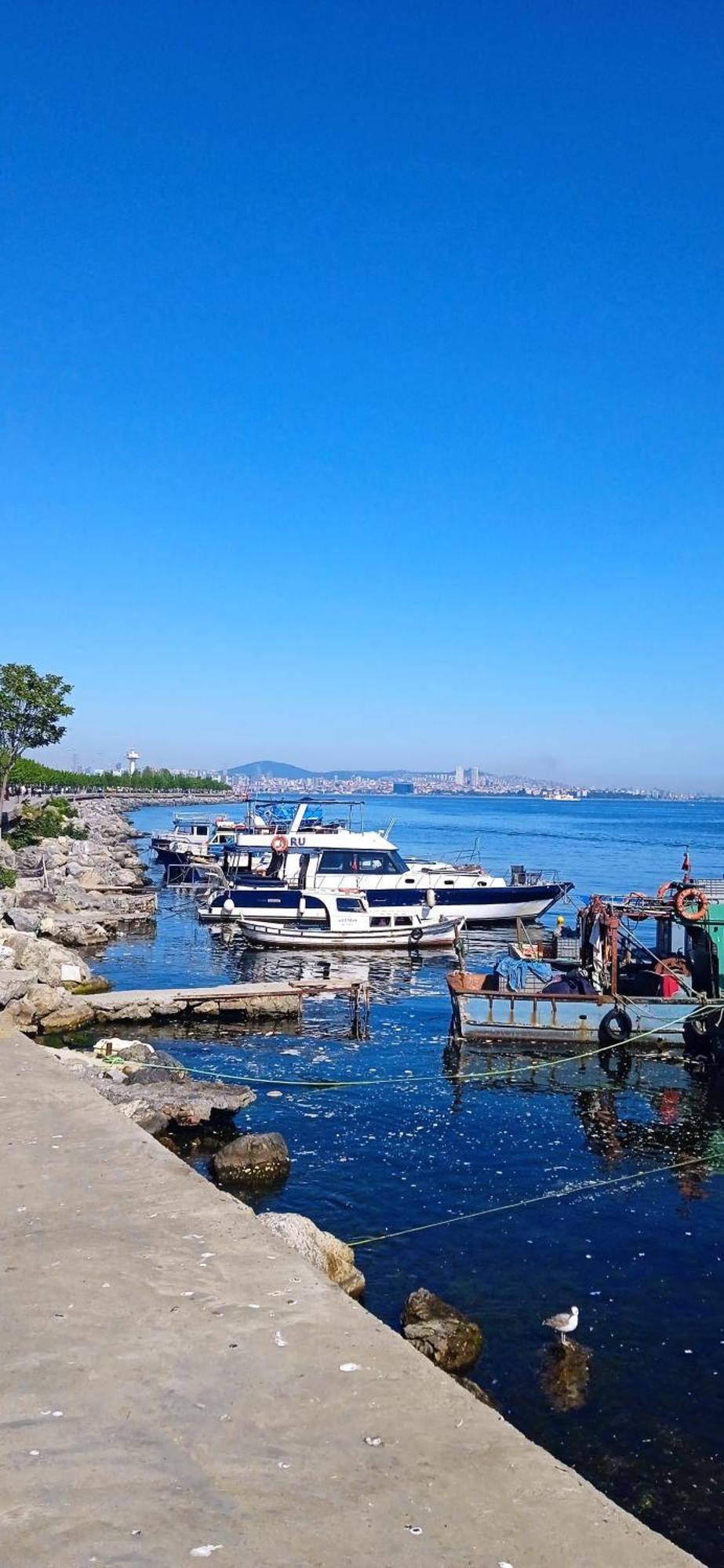 Yellow Bull Istanbul Hotel 外观 照片